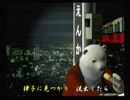 くまうた　（3567）「ネットへの流出」　唄：嵐山クマ男（夫)