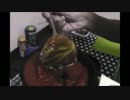 ハンバーグでロールキャベツを作ってみた