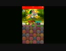 パズドラ　タケミナカタ降臨！超地獄級 カネツグ×光アヌビス
