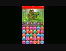 パズドラ　木の歴龍　地獄級　闇アヌビス×光アヌビス