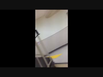 チンゲtv ◯ックカメラなんば店 突撃第二弾！！ 【1】