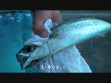 [part4] 友人をつれて島でサバイバル生活してきた 半自給自足生活