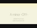 A minor -CRY- ＠kakicchysmusic