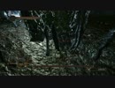 【ダークソウル2】 1周目ザックリ攻略　ずっと俺のターン 14【字幕付き】