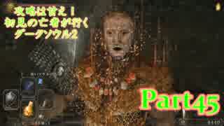 【実況】攻略は甘え！初見の亡者が行くダークソウル2【DarkSoulsII】part45