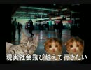fly.mp4