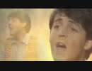 Paul McCartney - Waterfalls