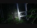 【心霊】ぶらり一人旅　第67回　島根県　旧森山トンネル