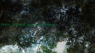 Yuri+(old name) ～Natural Space Good Sleep/良質睡眠自然空間【ギタードローンアンビエント】