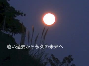 月見とボカロ曲 5選 Lefthorse Note