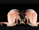 Austra - Hulluu [PV]