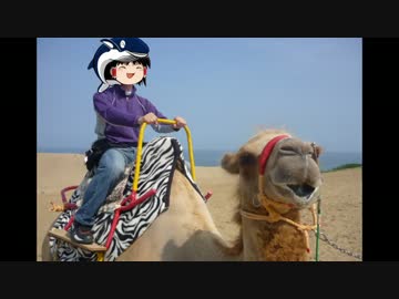 中国５県　道の駅　完全制覇の旅　第７駅　はわい