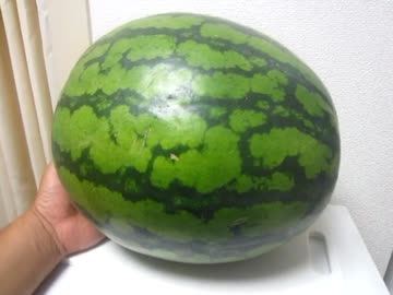 【Ａｍａｚｏｎ】スイカ１０㎏食べてみた ※２日間