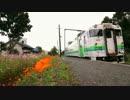 【バイノーラル録音】札沼線でおやすみなさい 【その1】