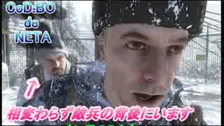 【CoD:BO】CoD:BOで久々にネタ【XBOX360】