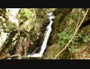 お手軽滝探訪　　楊梅の滝　薬研の滝