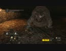 【初見】ハカハカしながらダークソウル2実況 第54夜