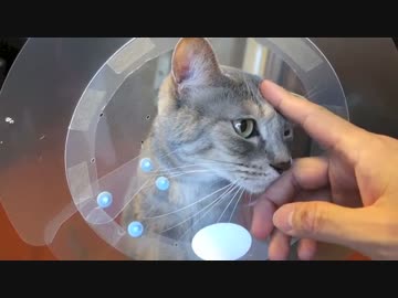 【モアクリ】 エリザベス生活 (2/3)