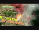 サバイバルチャレンジ