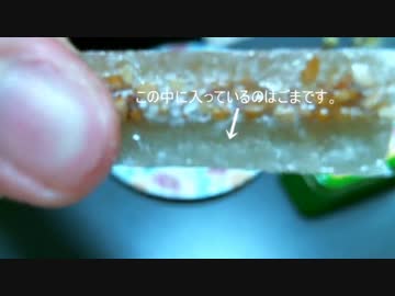 【実況】ＭＧＳ３内で食べた物しか現実で食べてはいけない実況　二日目