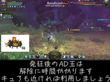 【身内用】メビウス　モルゴン戦　ガデ目線