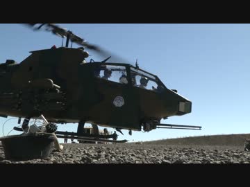 日米共同実働訓練 『雷神2014』