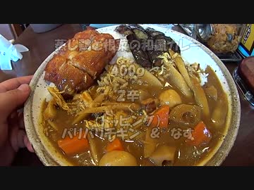 【実況車載】 ココイチのカレーを食べに行ってきた