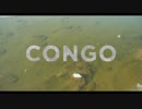 Bear Mountain - Congo