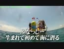 ふなっしー 無謀にも海に潜る!?