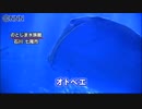 さよならオトベエ…ジンベエザメ、海へ