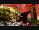【DOA5U】初心者(こころ)奮闘記(ネットの荒波に揉まれる) 18