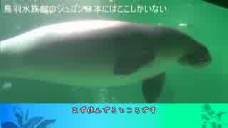 ニコニコ動物図鑑～間違い探し編～　九回目