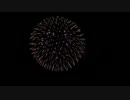 2014.9.9 （新潟）片貝花火　奉納花火 (10)