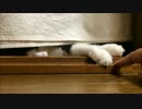 隙間から大福