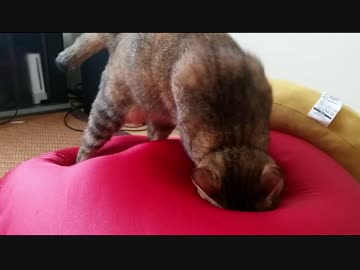 掘れぬだと……ならば…