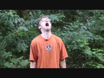 芝刈り機でゲームを破壊されたニート ～ザナルカンドにて～