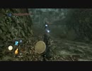 ダークソウル２　魔法使い使いたかったんだよ！パート6