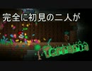 [実況]　完全に初見の二人がテラリア　part9