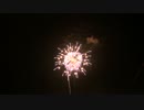 2014.9.10 （新潟）片貝花火　奉納花火 (19)