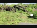 城下町でデュエルしてみた　2014年夏