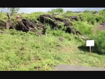 城下町でデュエルしてみた　2014年夏