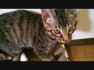 みんな、ただいま(*´▽｀*)