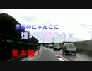 全国のにゃんこに逢いに行こう２６