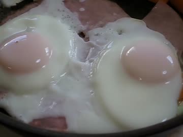 続・勢いで買ったチョコを使い切りたい動画