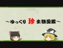 ～ゆっくり　珍　生物図鑑～　第1回　アードウルフ