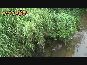 間違って謎の巨大生物釣ってみた。