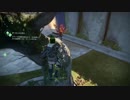Destiny 木に登る