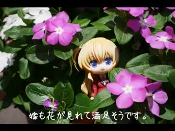 ニート、旅をする【43日目】