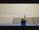 腐ケーキちゃんの冒険:TFFMスペシャル