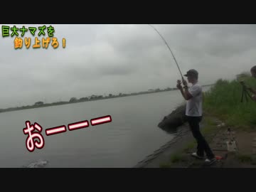 巨大ナマズを釣り上げろ【mottiさん、クニ君】